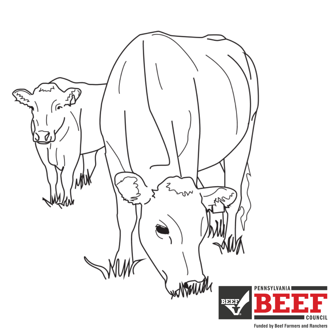 Beef coloring contest