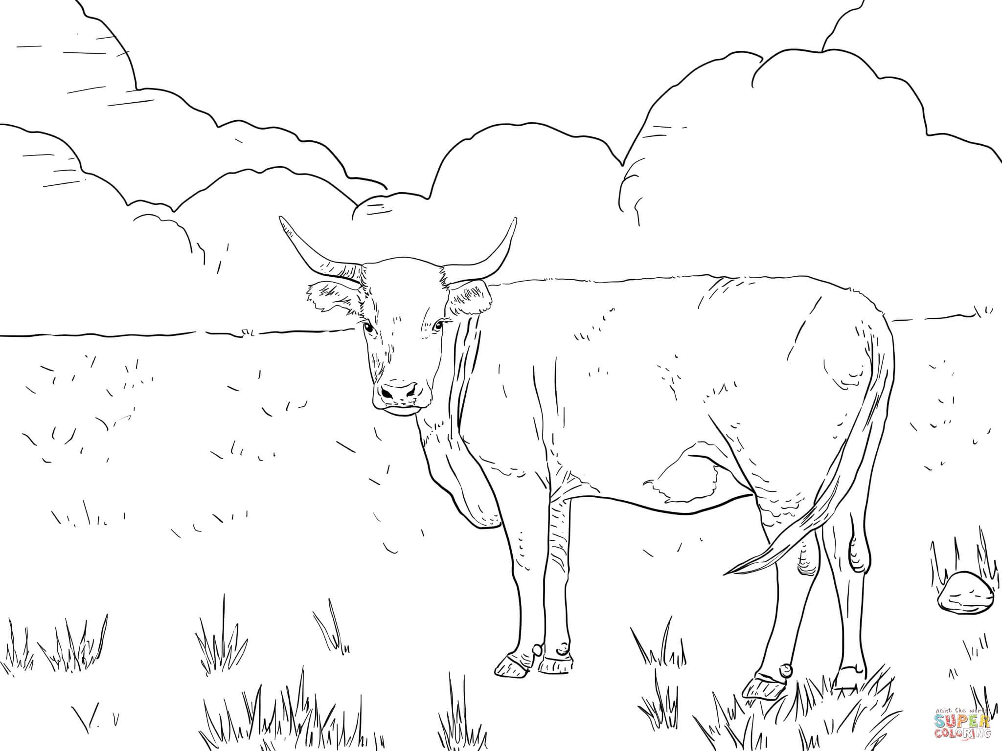 Cattle coloring pages free coloring pages animal coloring pages cow coloring pages hereford cows