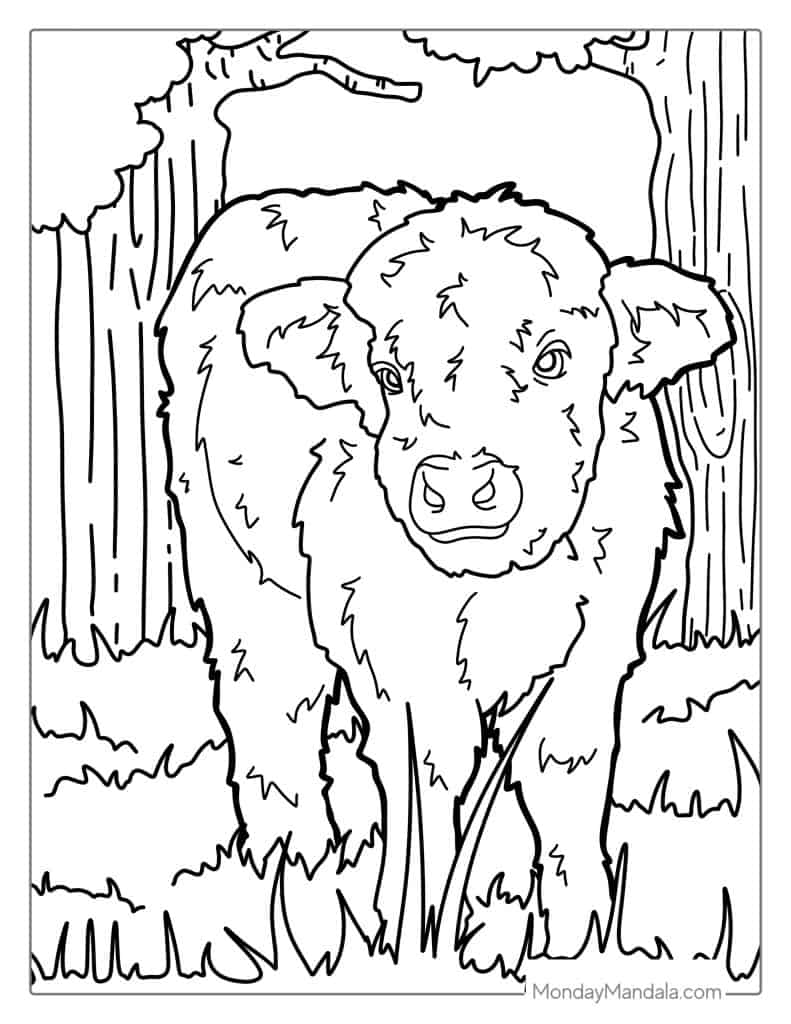 Cow coloring pages free pdf printables