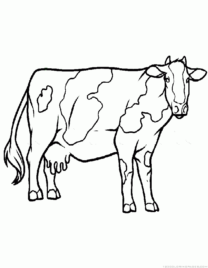 Cow coloring pages