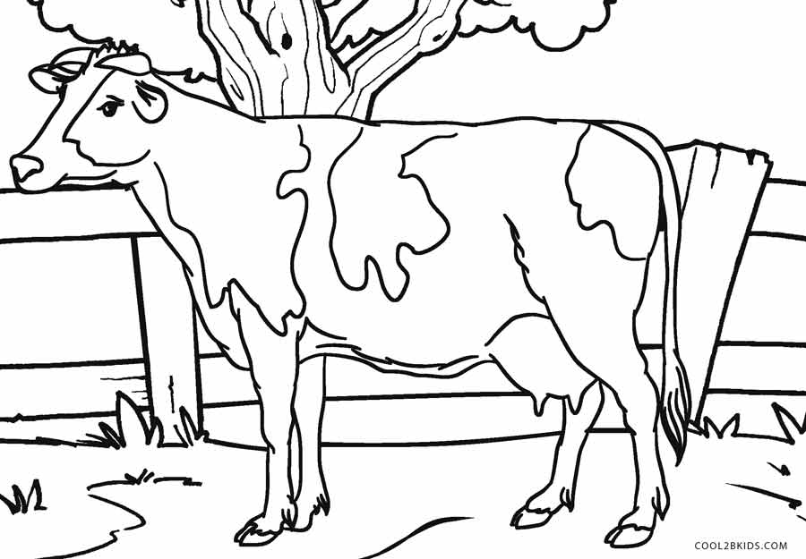 Free printable cow coloring pages for kids