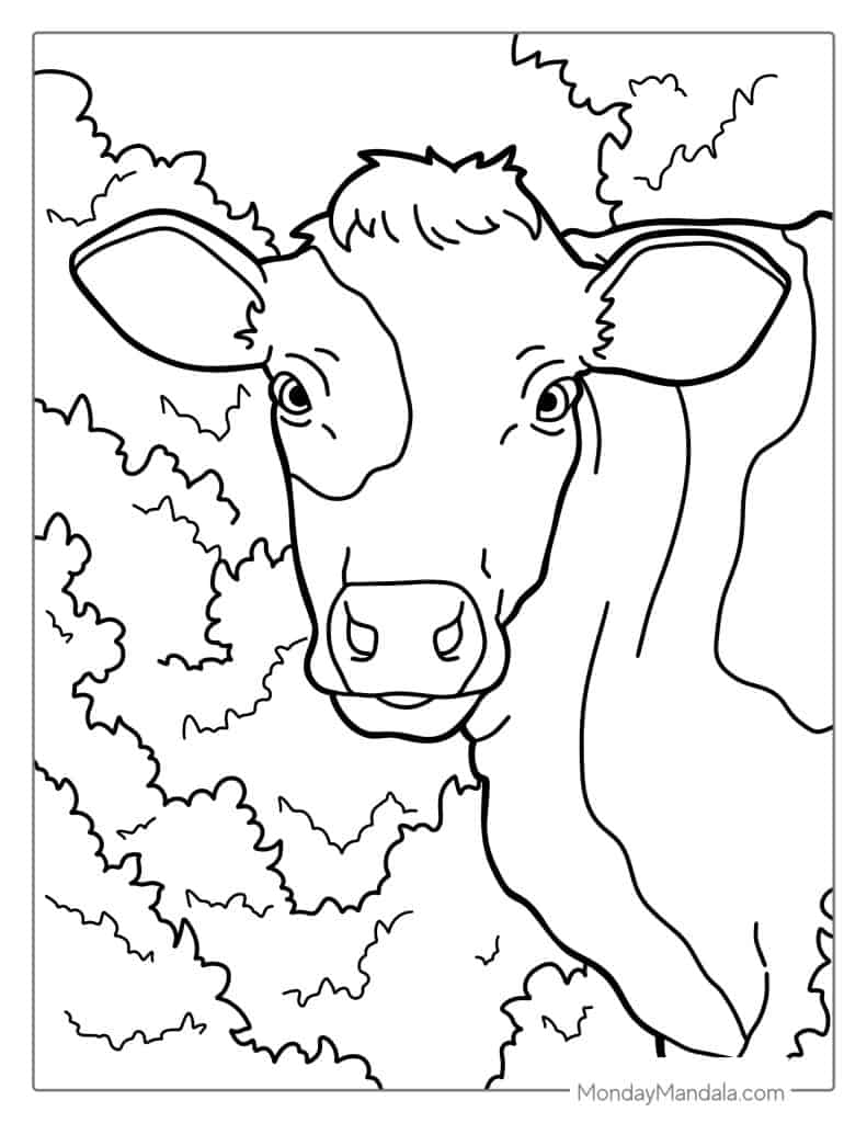 Cow coloring pages free pdf printables