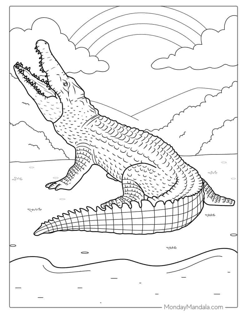 Crocodile coloring pages free pdf printables