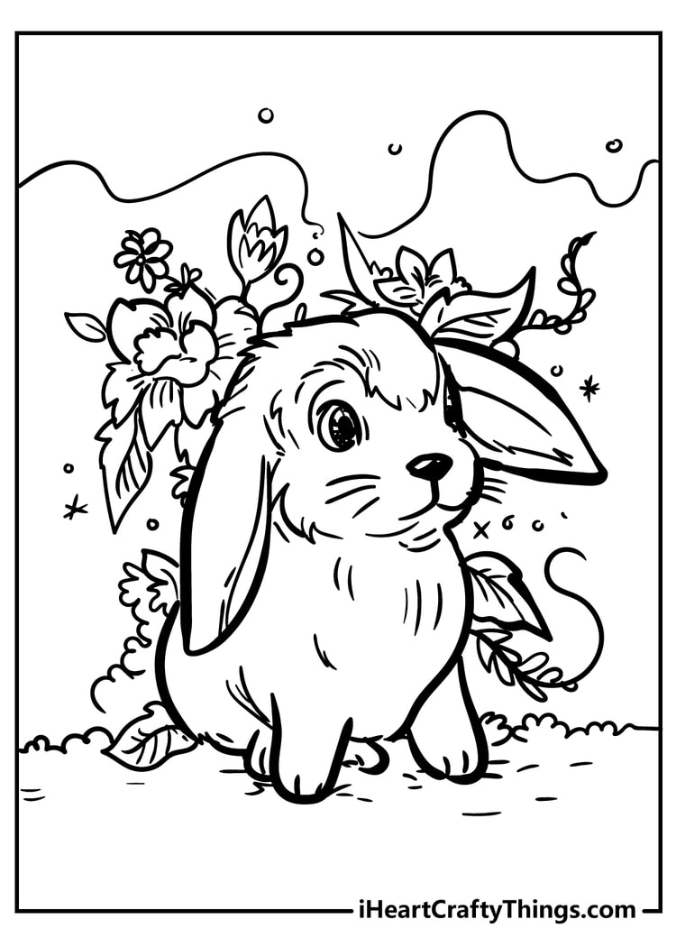 Rabbit coloring pages free printables