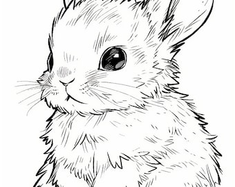 Coloring page for child baby rabbit