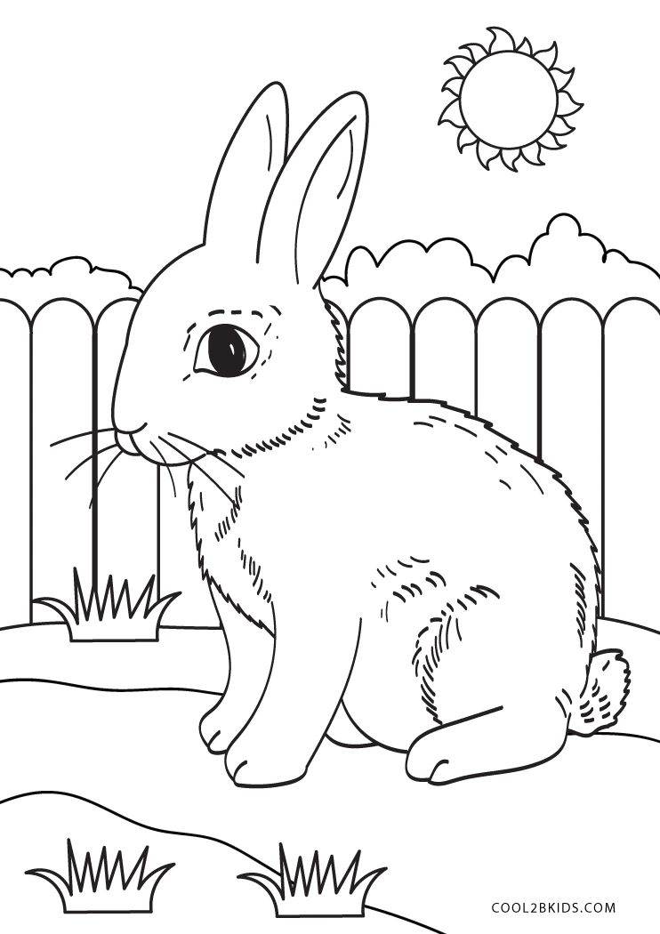 Free printable bunny coloring pages for kids