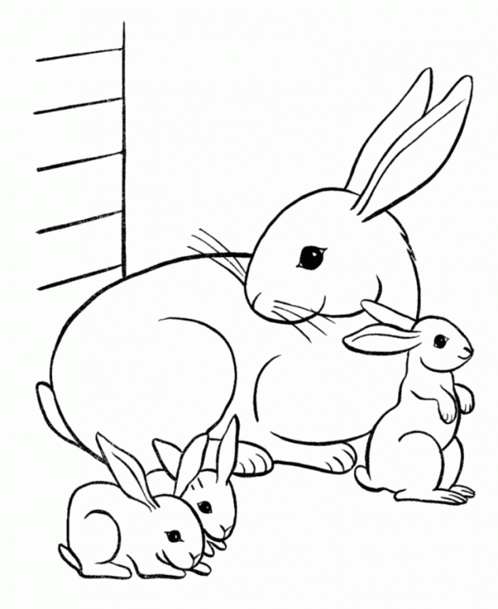 Bunny coloring pages