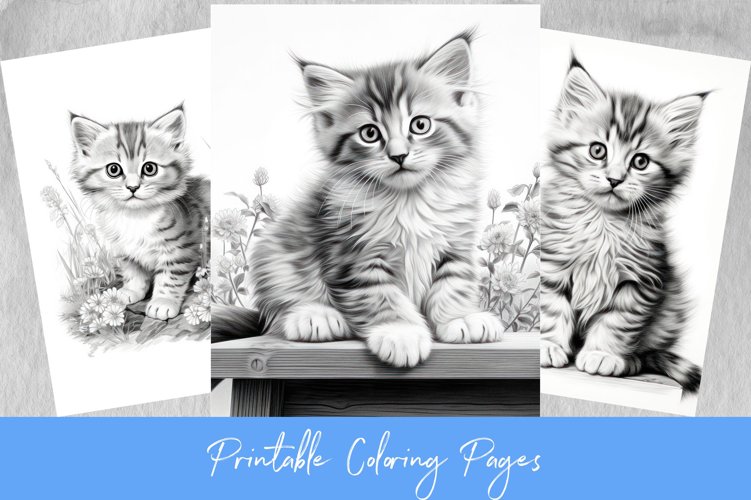 Cat coloring pages