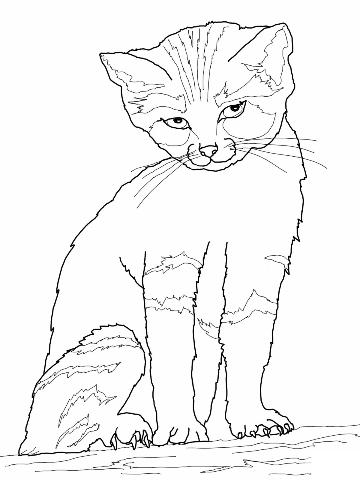 Free printable cat coloring pages for kids