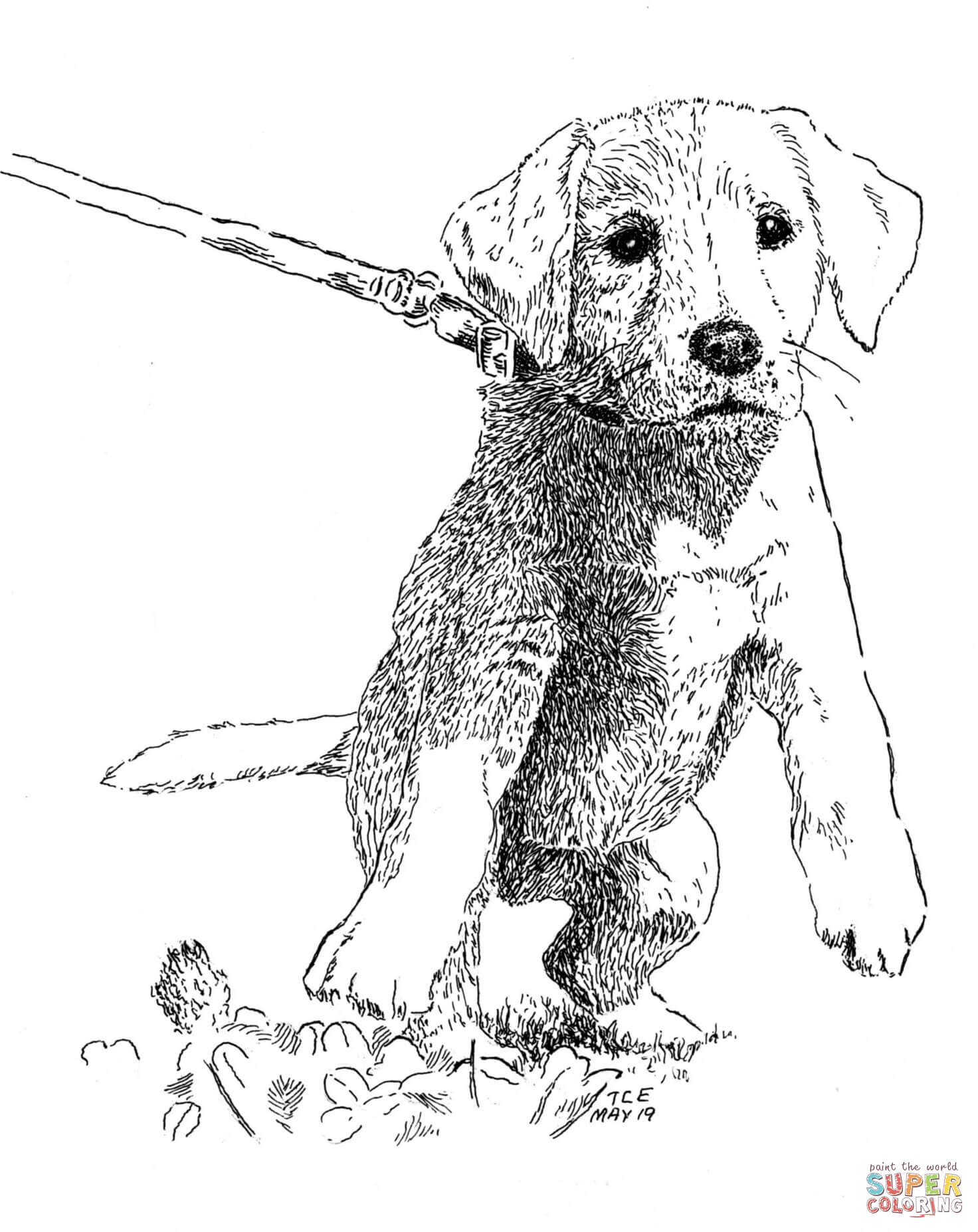 Puppy coloring page free printable coloring pages