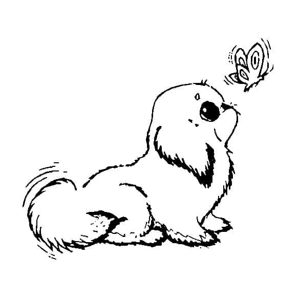 Puppy coloring pages