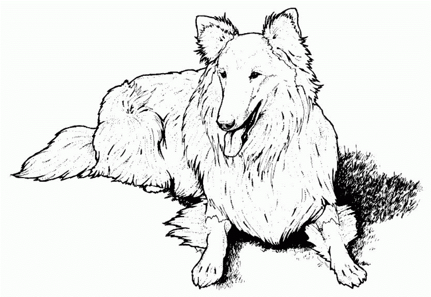 Free printable dog coloring pages for kids