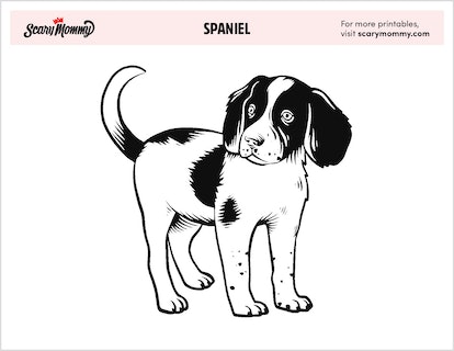 Precious puppy coloring pages for kiddos who want a dog