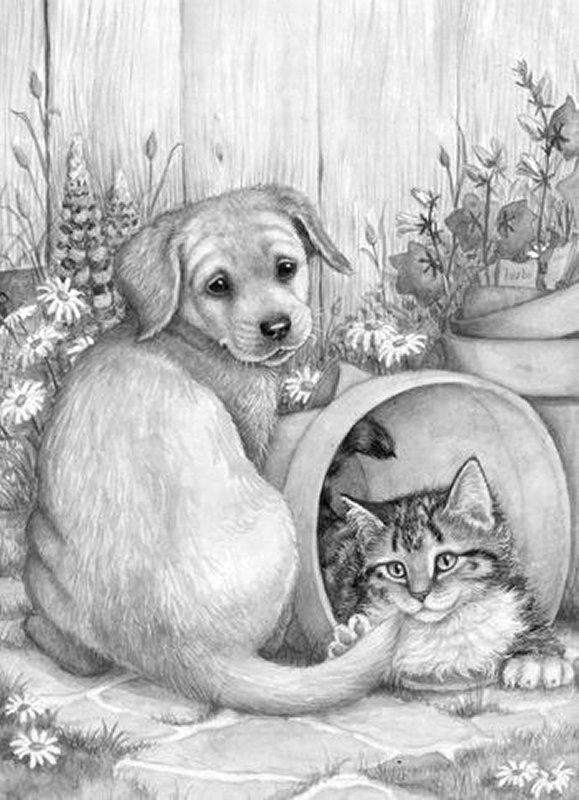 Puppy and kitten ausmalbilder hunde hund zeichnen hund malen