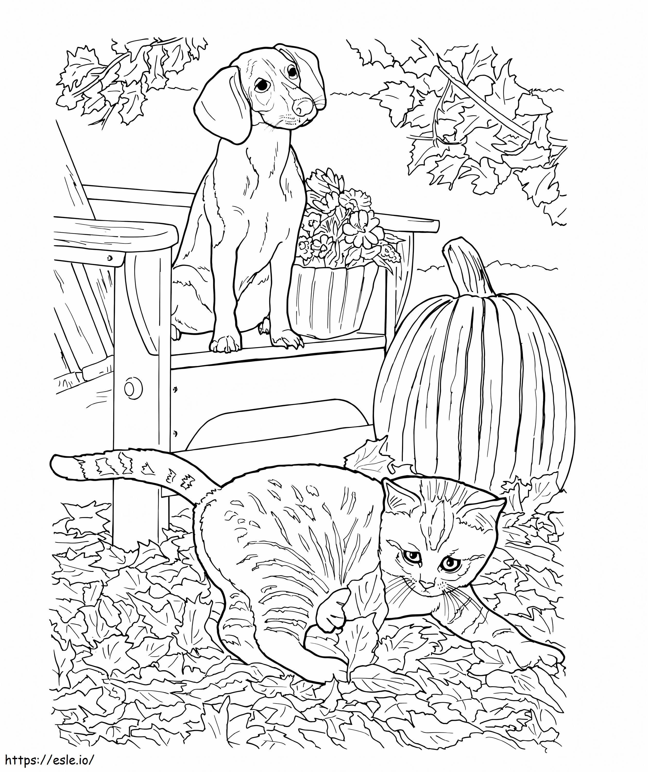 Realistic dog and cat coloring page