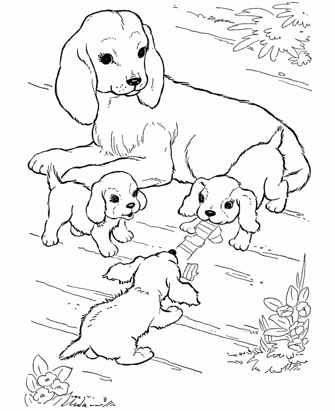 Free printable dog coloring pages for kids