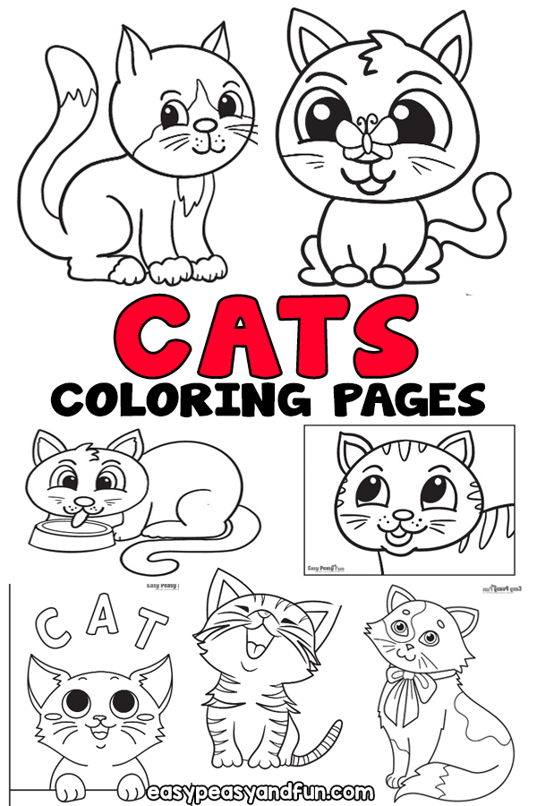 Cat coloring pages