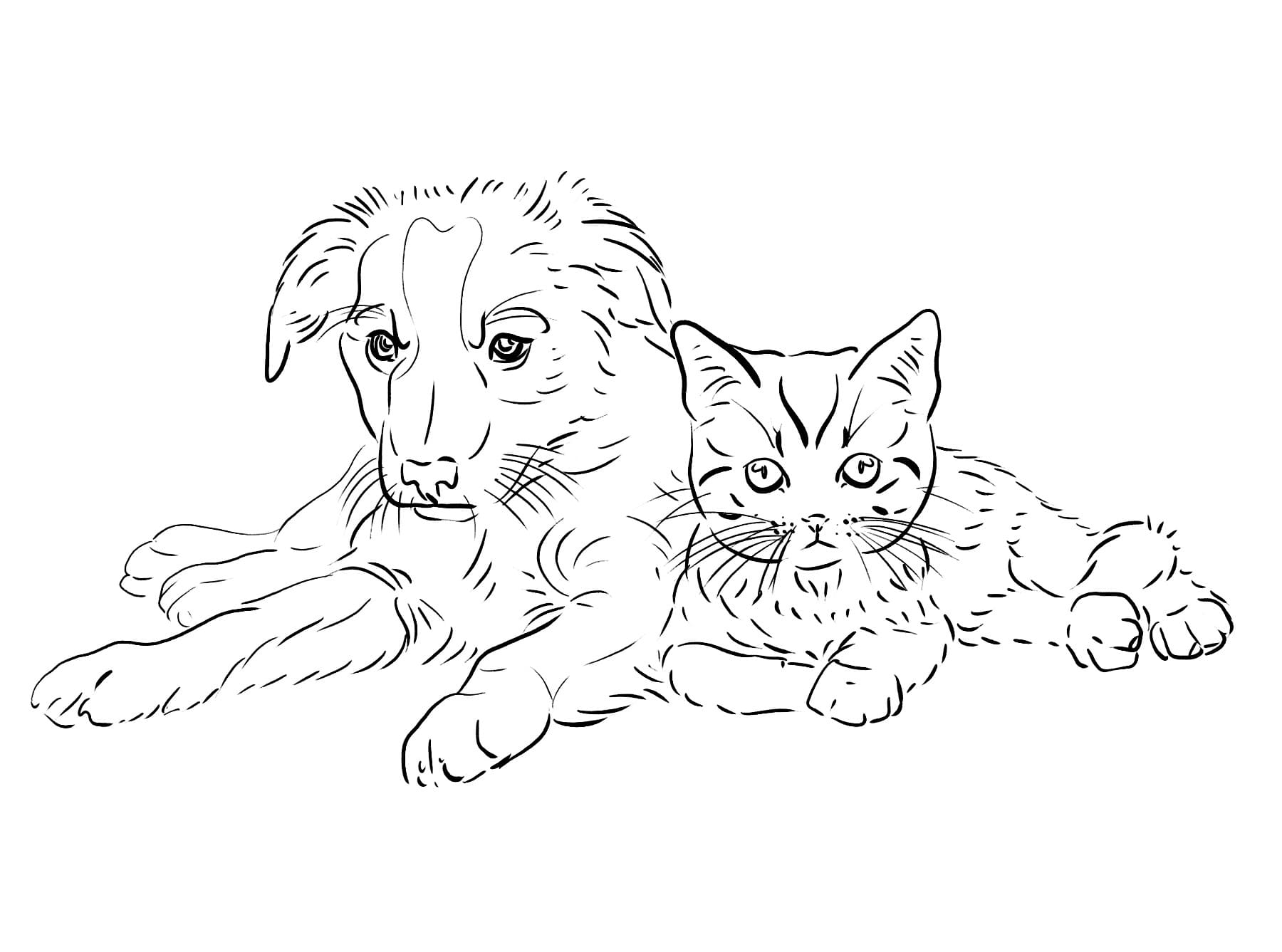 Cat and dog coloring pages printable coloring pages