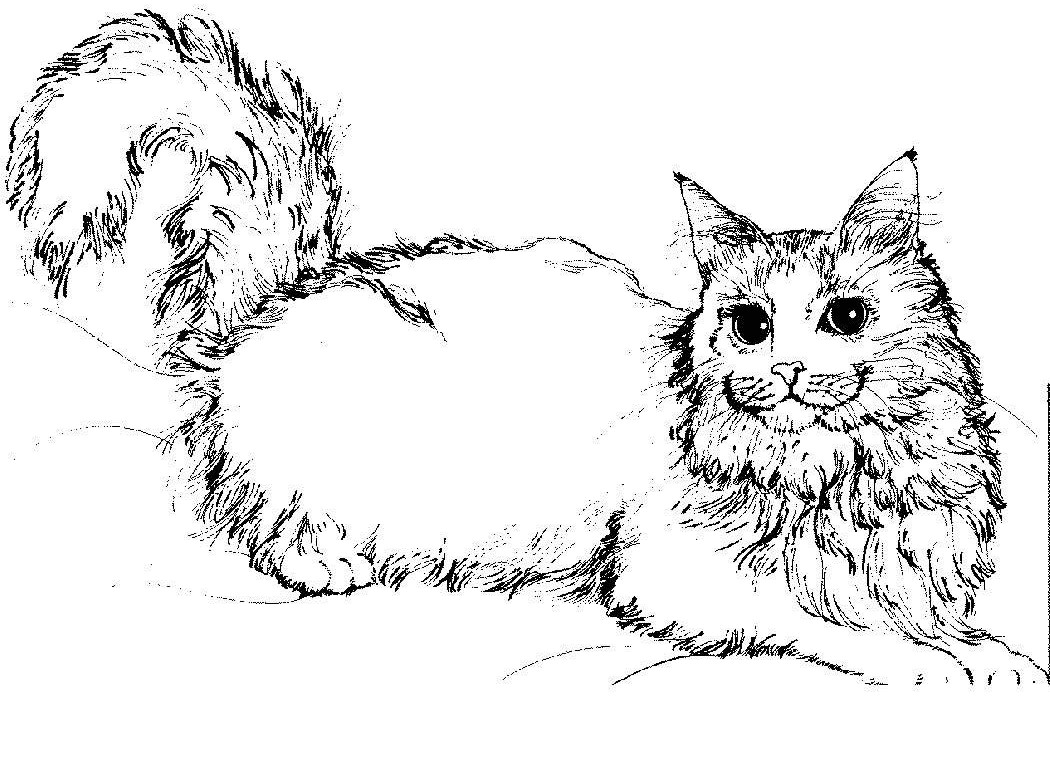 Free printable cat coloring pages for kids