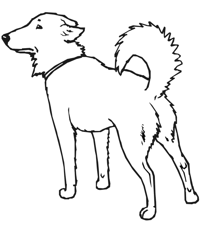 Dog coloring page realistic dog drawing