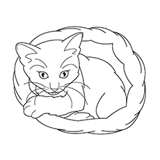 Top free printable cat coloring pages for kids