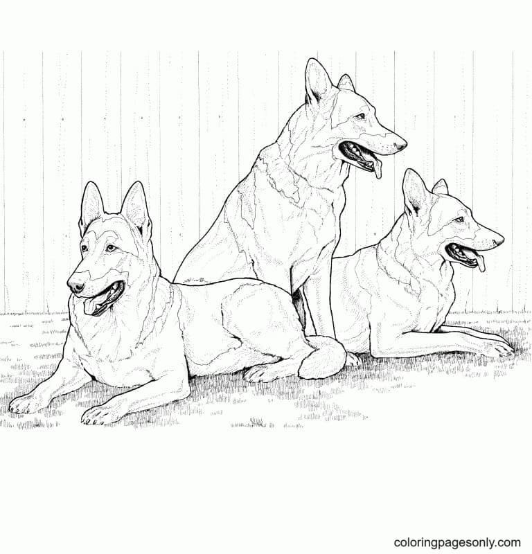 Realistic animal coloring pages printable for free download