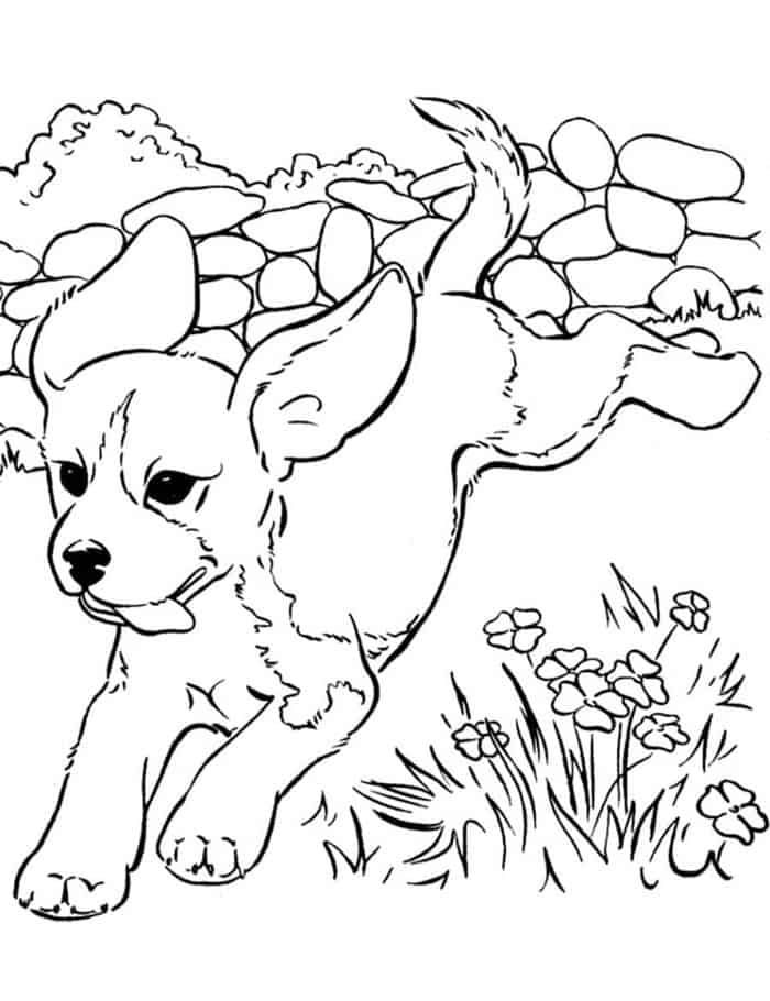 Beautiful and realistic dog coloring pages