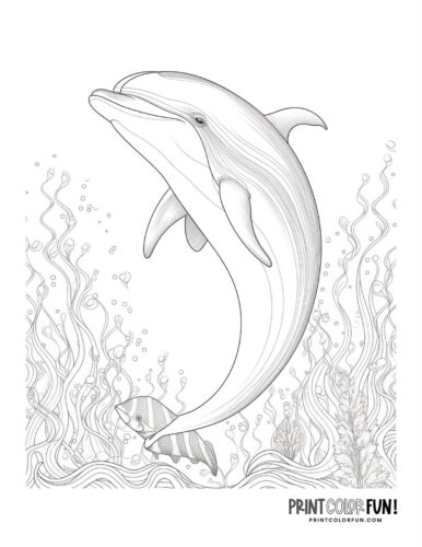 Printable dolphin coloring pages dive into a world of fun crafts learning activities at