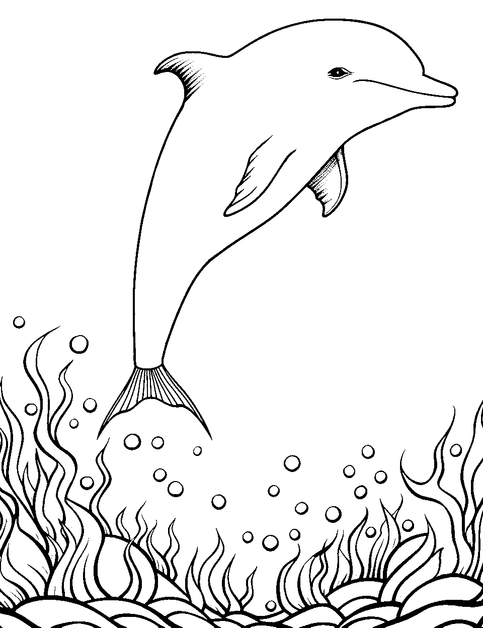 Dolphin coloring pages free printable sheets