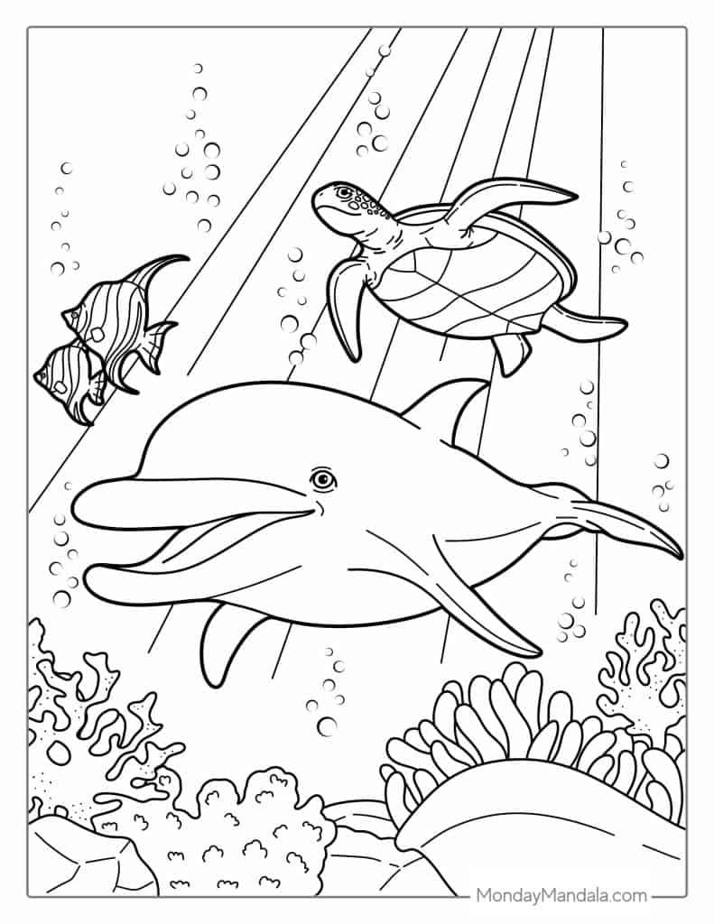 Dolphin coloring pages free pdf printables