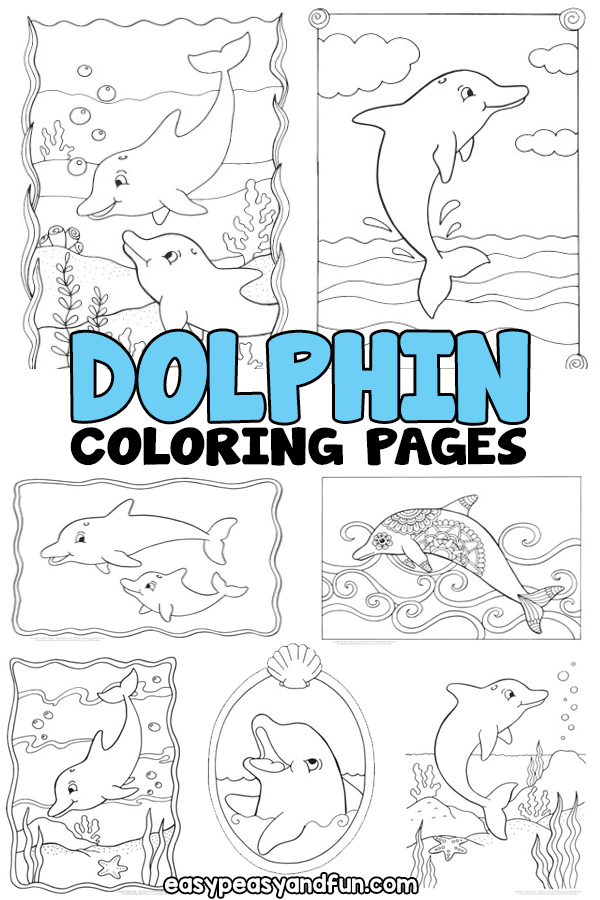 Dolphin coloring pages