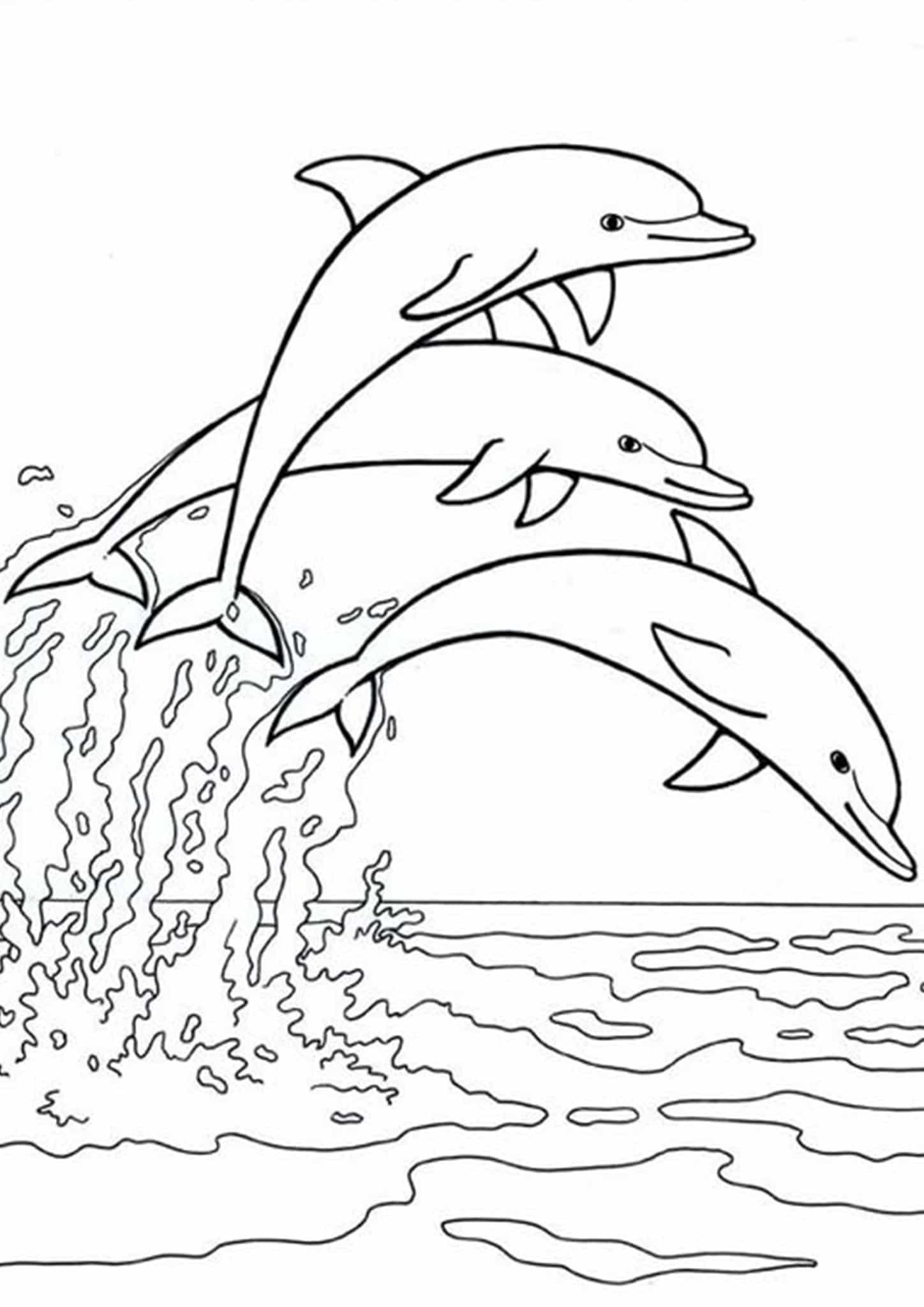 Free easy to print dolphin coloring pages