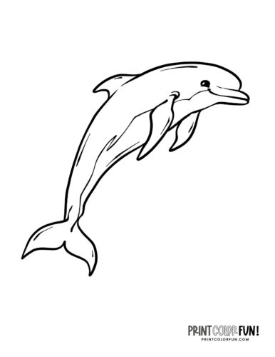 Printable dolphin coloring pages dive into a world of fun crafts learning activities at