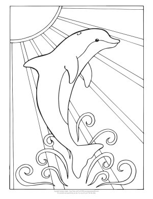 Dolphin coloring pages