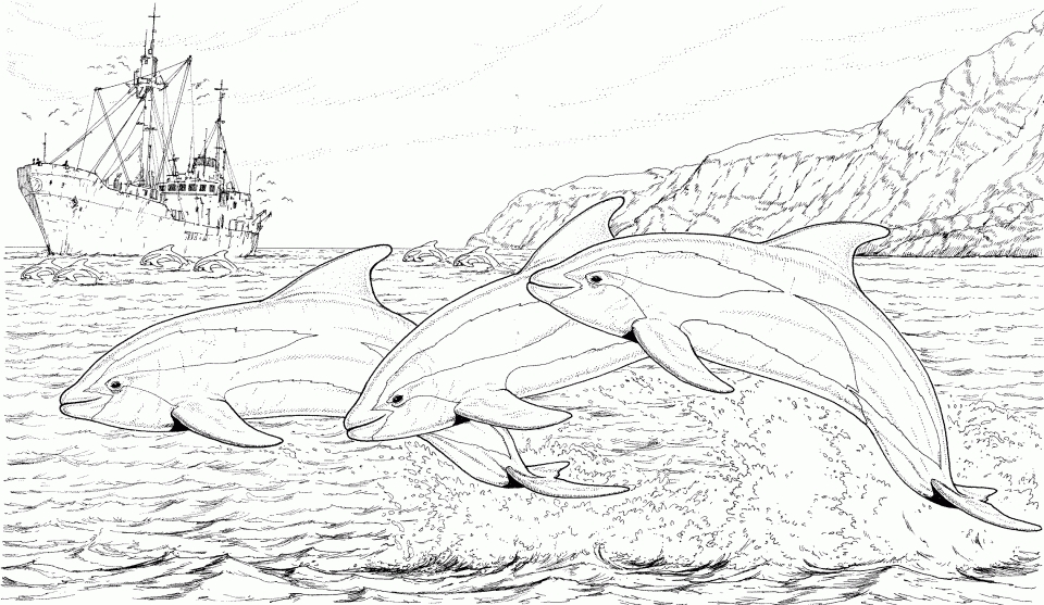 Get this dolphin coloring pages free to print