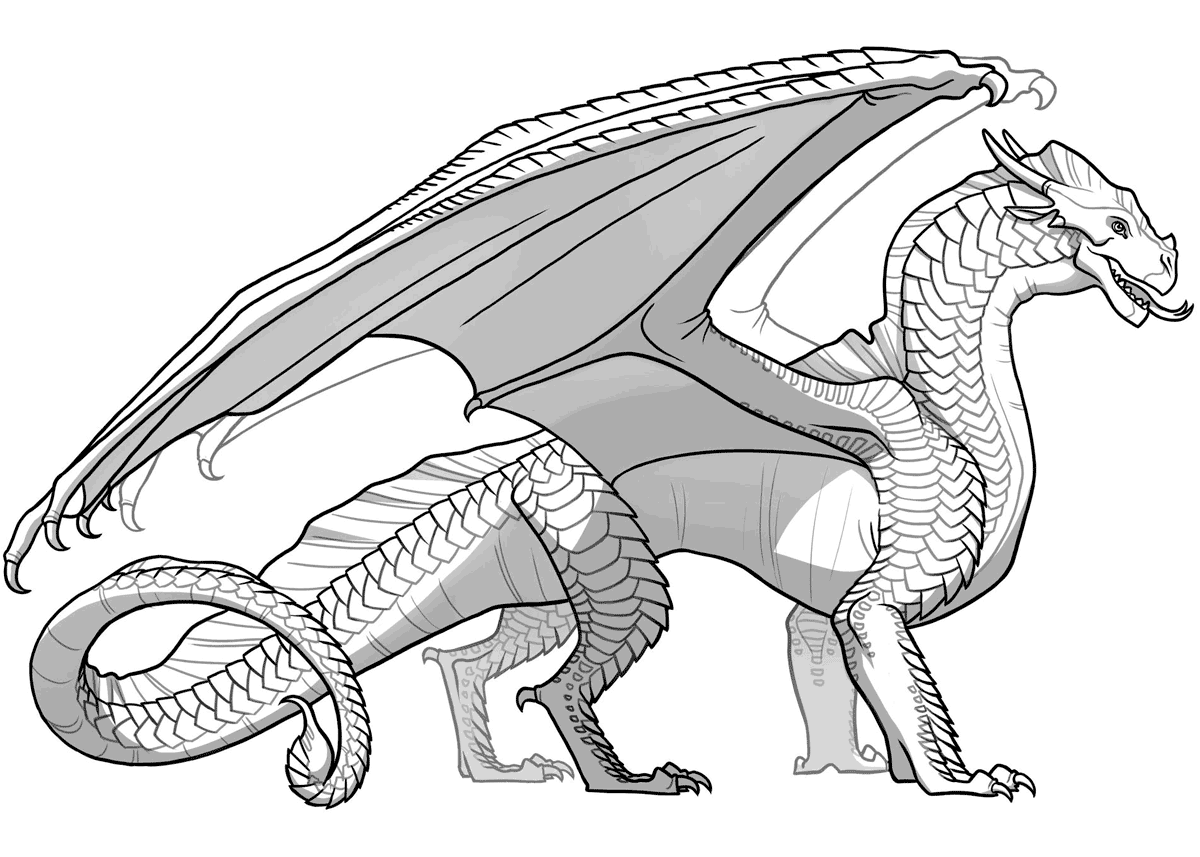 Dragon coloring pages for adults