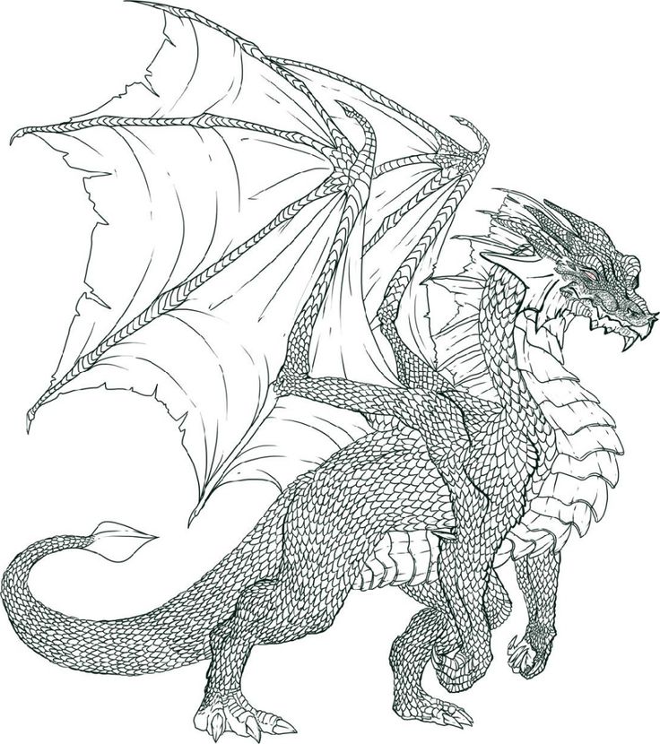 Realistic dragon coloring pages k worksheets dragon coloring page realistic dragon coloring pages