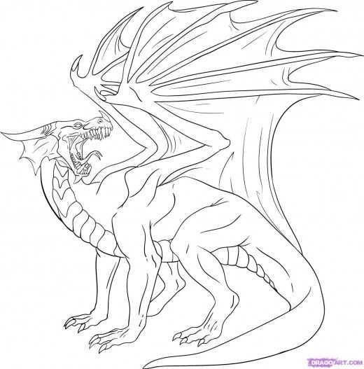 Realistic dragon coloring pages dragon coloring page realistic dragon dragon drawing