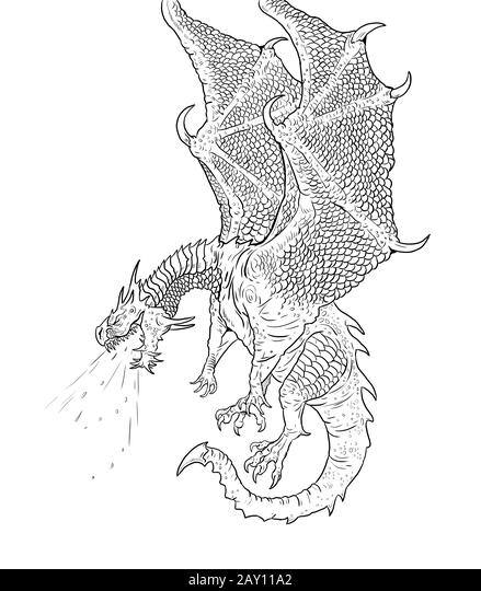 Dragon coloring page outline illustration dragon drawing coloring sheet stock photo