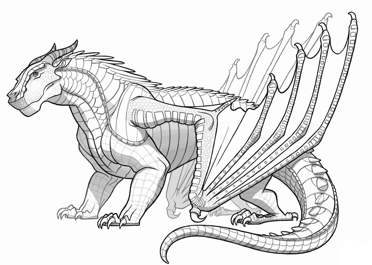 Dragon coloring pages for adults