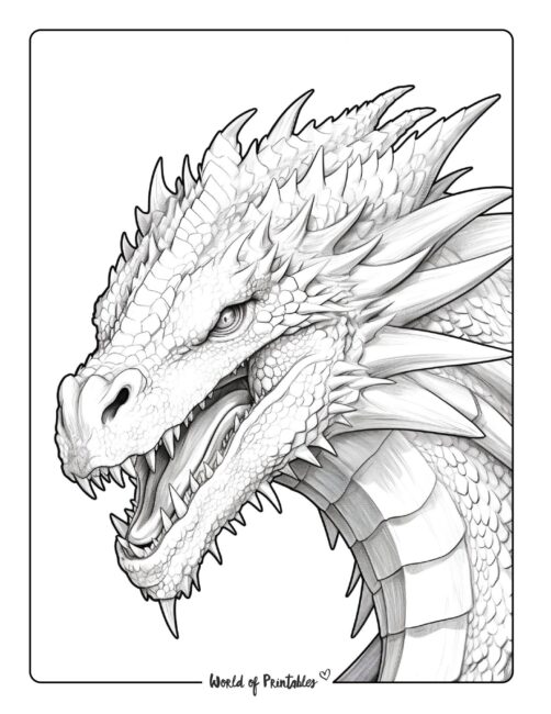 Dragon coloring pages for kids adults