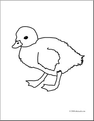 Clip art duckling coloring page i