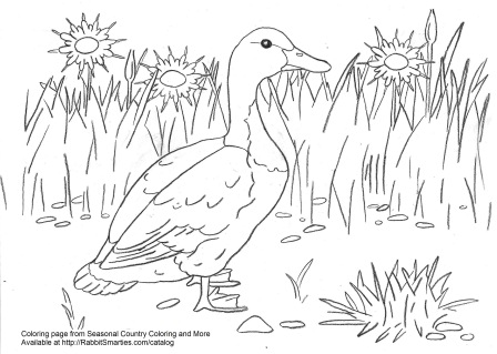 Swedish duck coloring page