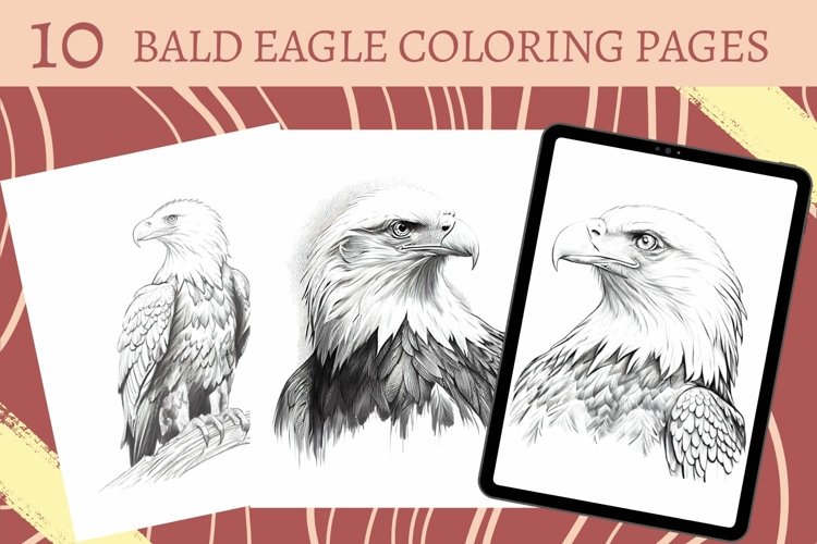 Bald eagle coloring page