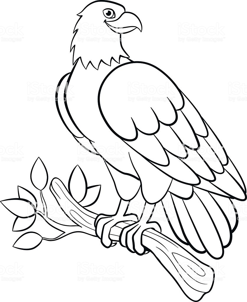 Coloring pages bald eagle coloring pages for kids