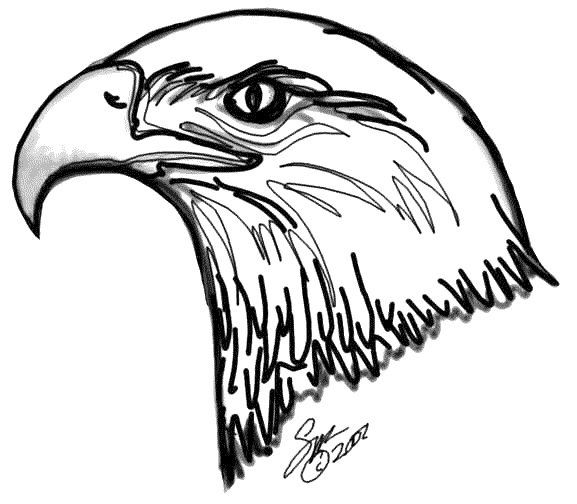 Bald eagle coloring