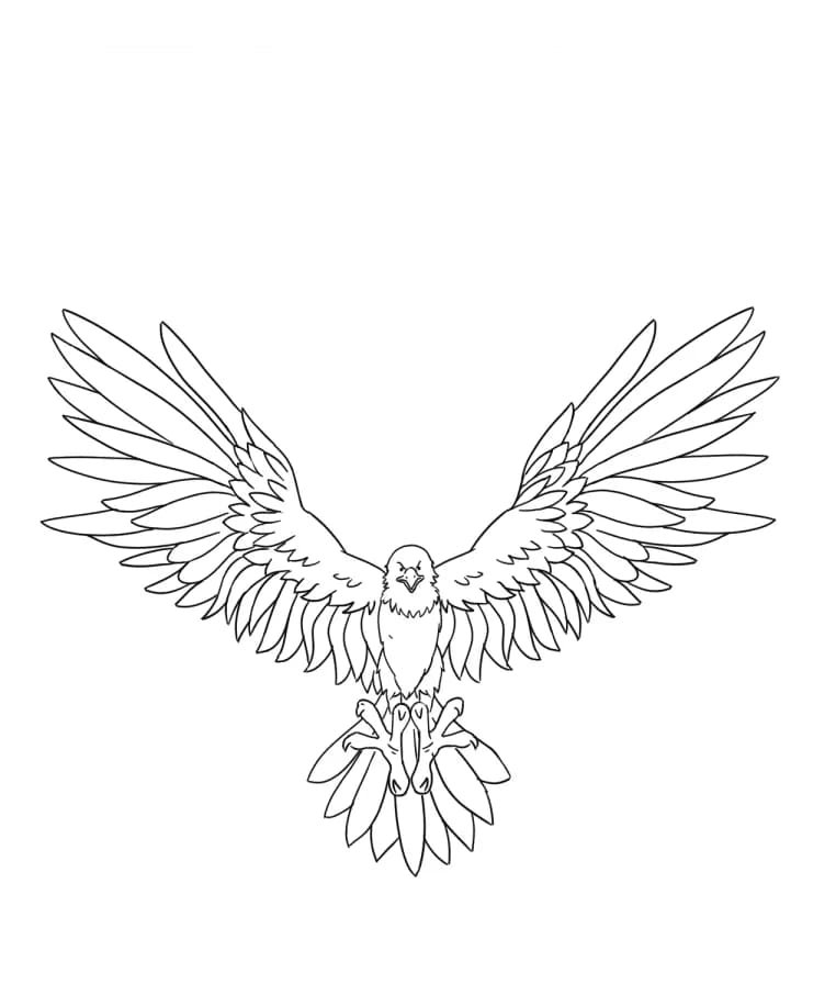 Bald eagle coloring pages printable for free download