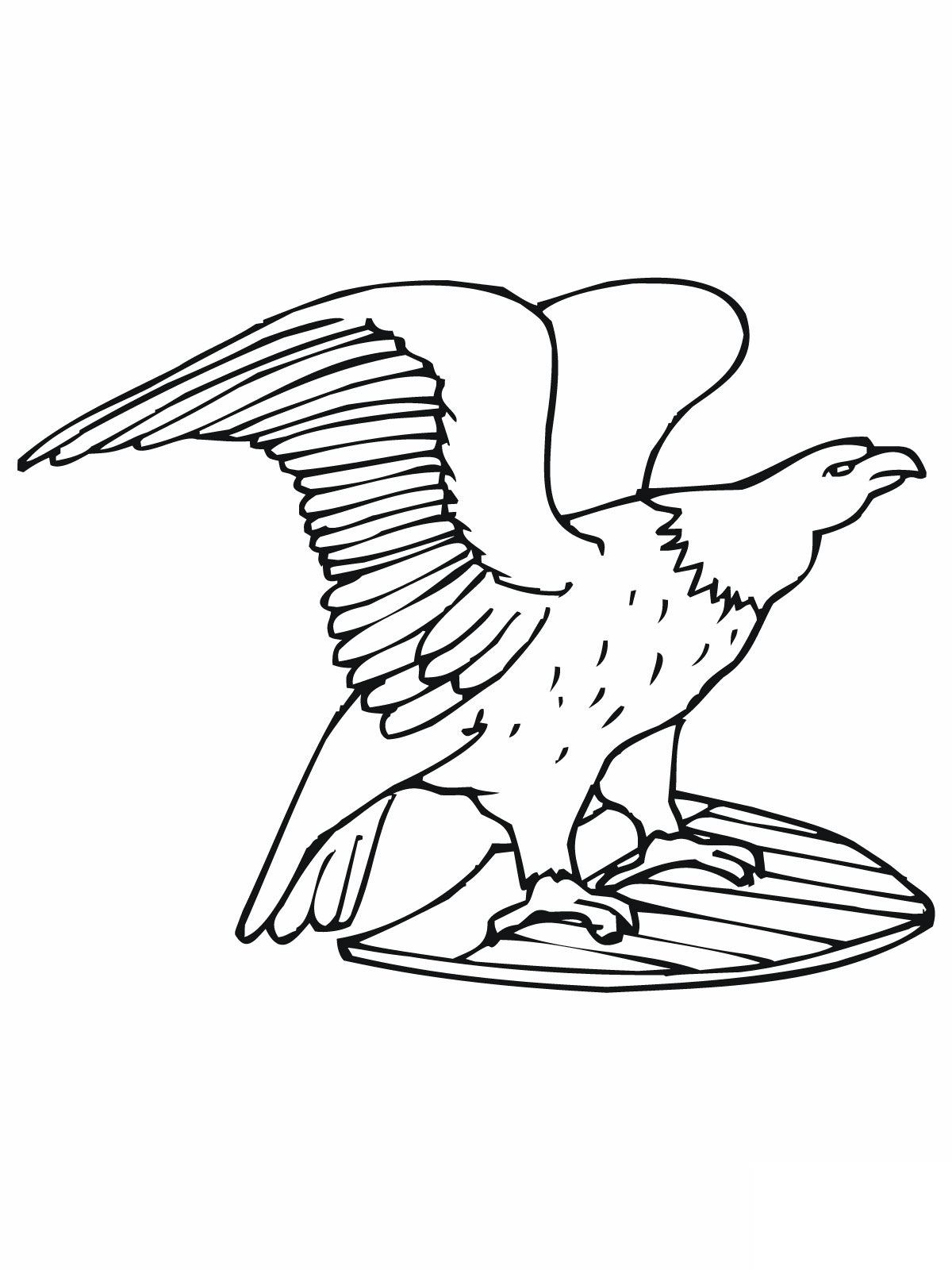 Free printable bald eagle coloring pages for kids