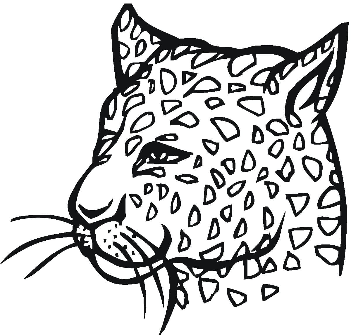 Cheetah coloring pages