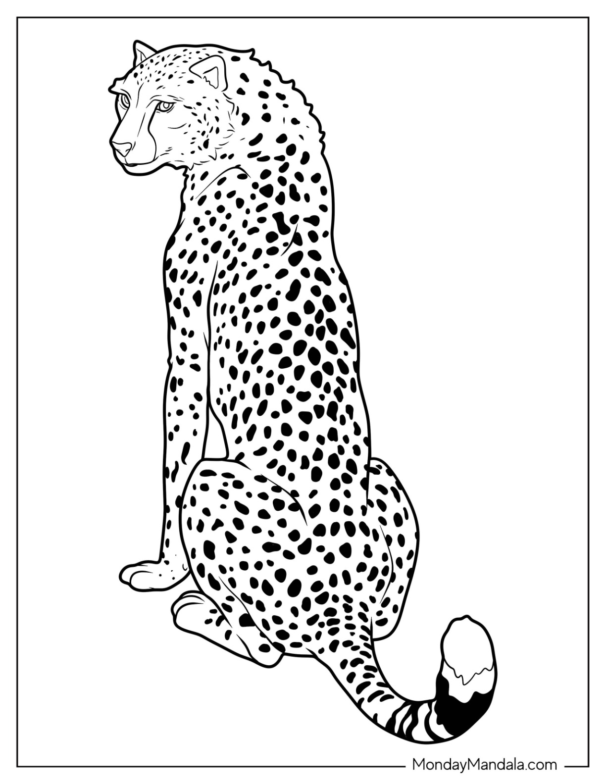 Cheetah coloring pages free pdf printables